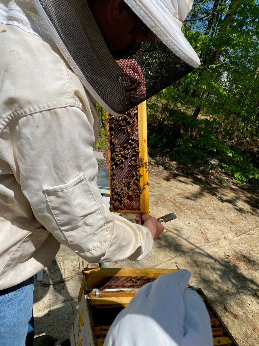 Residents at Lakewood Senior Living plant wildflowers for Honeybees