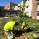 Team members at Lakewood plant tress to recognize Arbor Day
