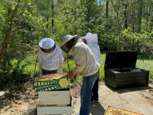 Residents at Lakewood Retirement Community plant wildflowers for Honeybees 6