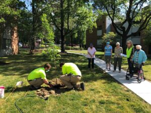 Team members and senior residents enjoy a day of planting trees on Arbor Day