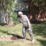Lakewood Senior Living plant trees to recognize Arbor Day 3