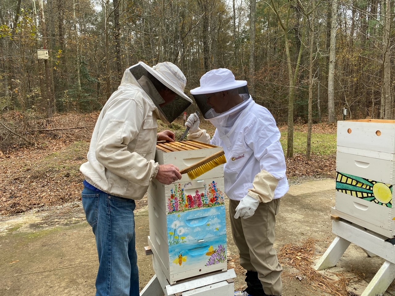 Seniors tending to the beehives